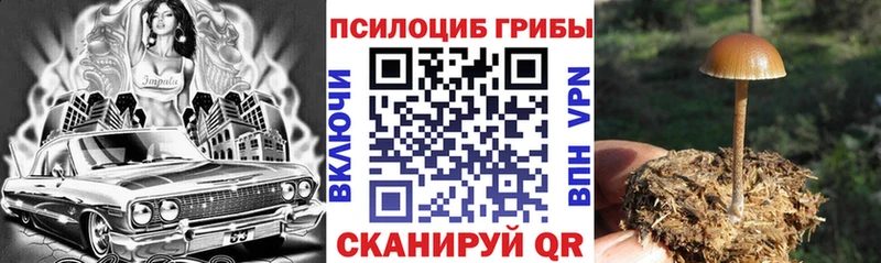 Купить где  Аткарск  Галлюциногенные грибы мицелий 